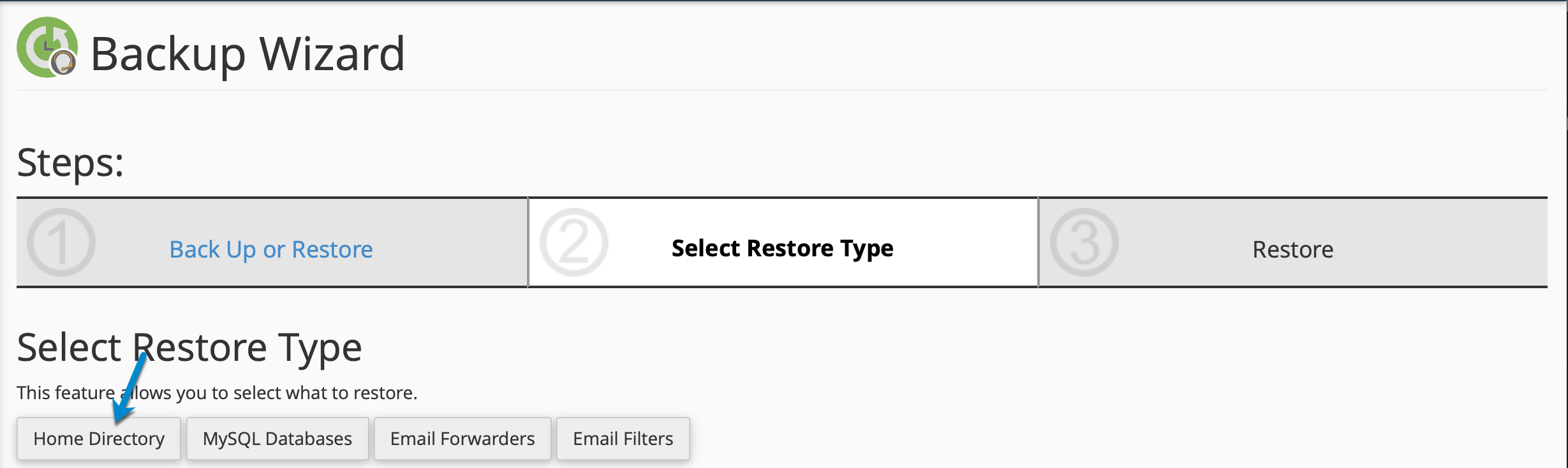 screenshot to select the home directory cPanel account restoration option