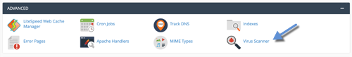 cPanel Virus Scanner interface