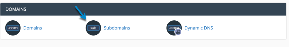 Domain Menu of cPanel Interface