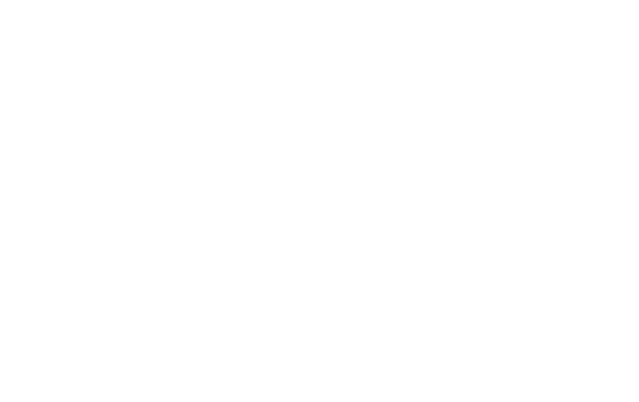 HostStage